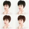 الشعر المستعار الشعر المستعار، الشعر المستعار، الشعر المستعار، الشعر المستعار، الشعر المستعار Application Scenario